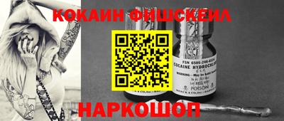 гашик Кандалакша