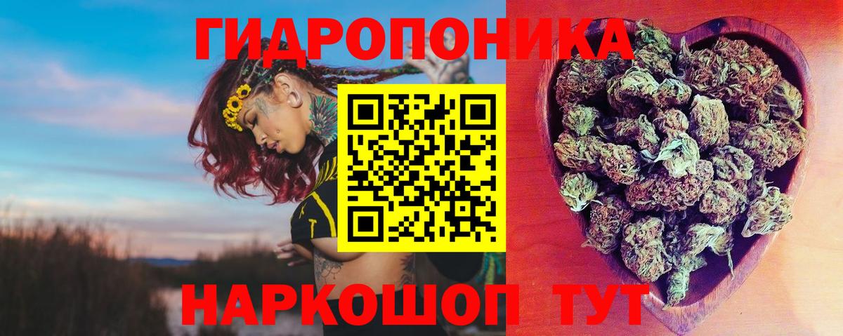 Бошки Шишки конопля Аксай